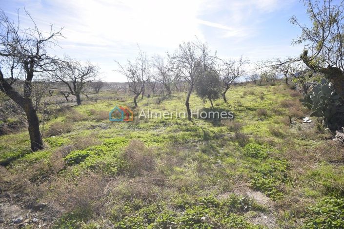 Image No.13-4 Bed Country House for sale