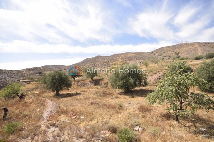 Image No.11-5 Bed Country House for sale