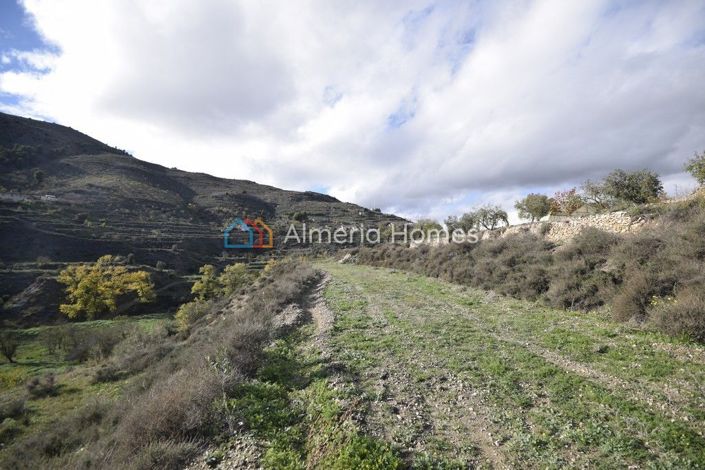 Image No.9-Village House for sale