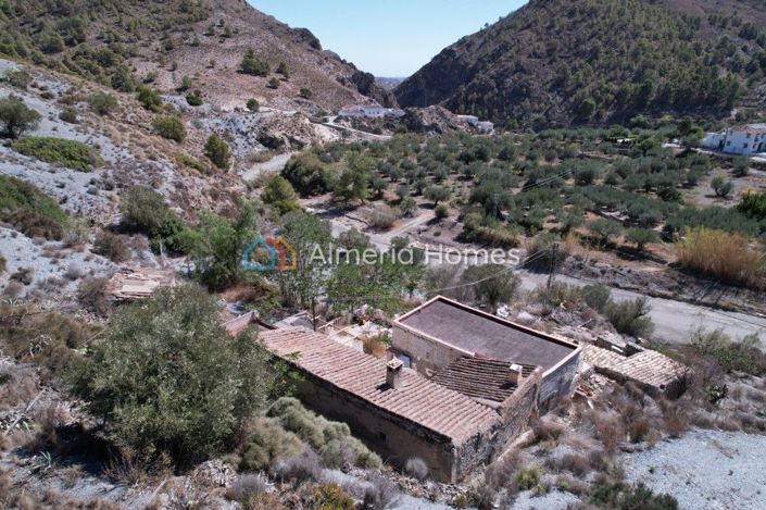 Image No.3-4 Bed Country House for sale