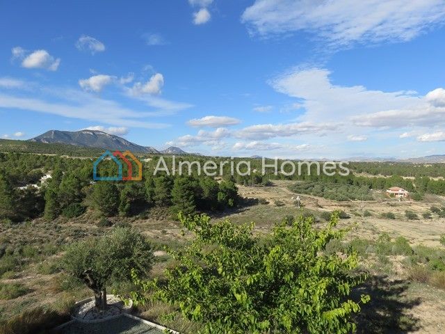 Image No.4-4 Bed Villa for sale