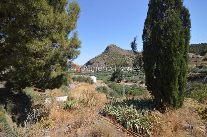 Image No.11-4 Bed Country House for sale