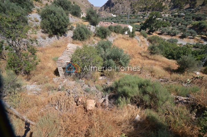 Image No.12-4 Bed Country House for sale