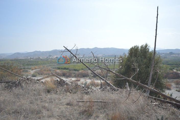 Image No.4-3 Bed Country House for sale