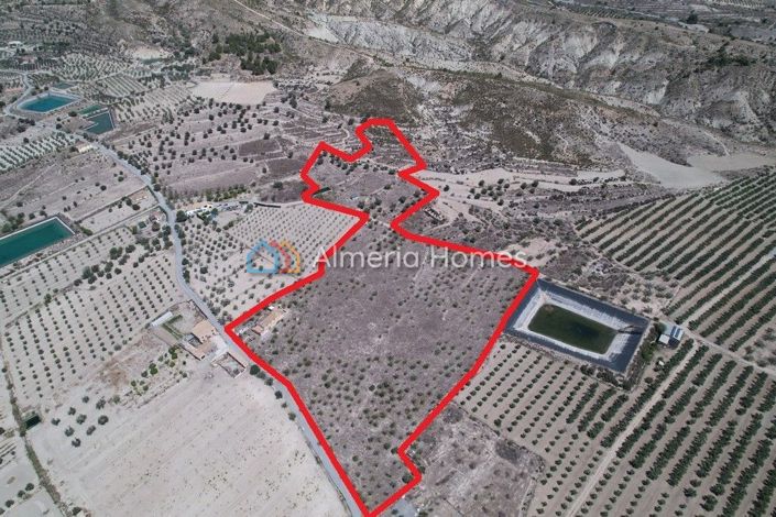 Image No.4-6 Bed Country House for sale