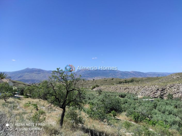 Image No.19-5 Bed Country House for sale