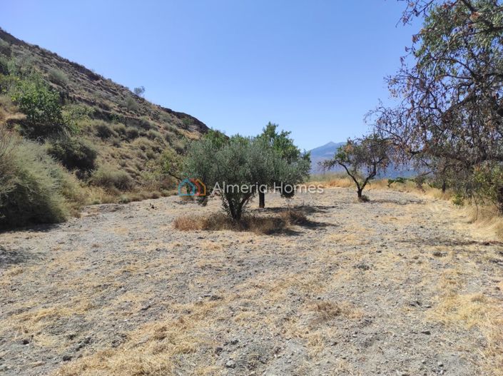 Image No.12-1 Bed Country House for sale