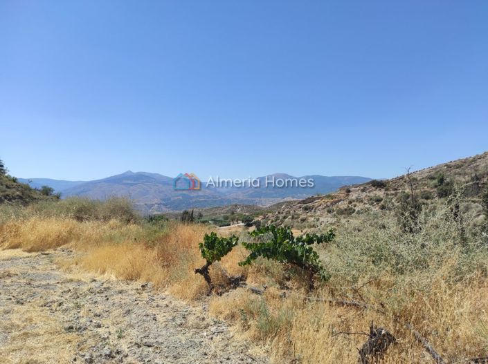 Image No.14-1 Bed Country House for sale