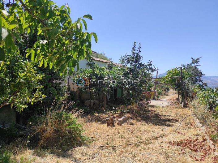 Image No.19-1 Bed Country House for sale