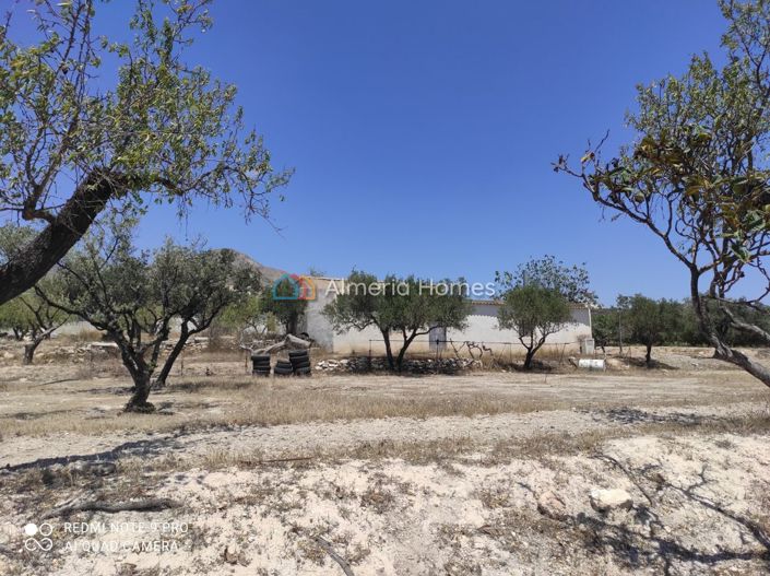 Image No.10-2 Bed Country House for sale