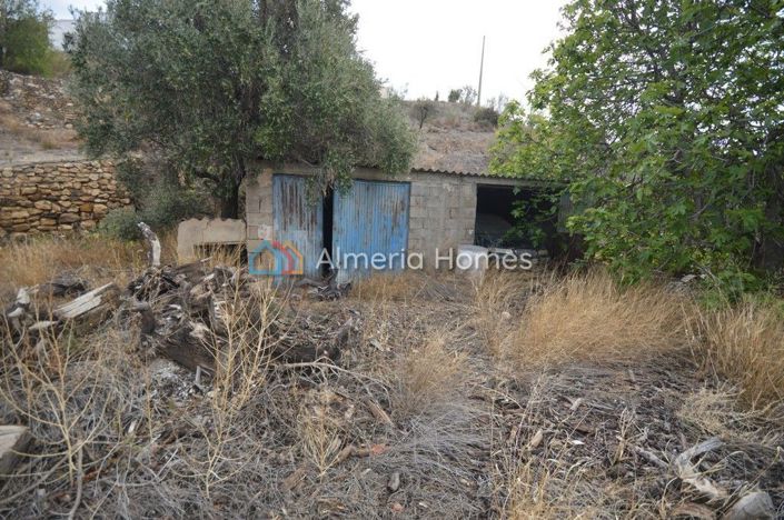 Image No.6-5 Bed Country House for sale