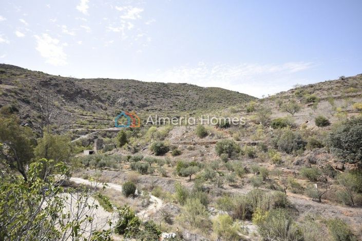 Image No.15-3 Bed Country House for sale