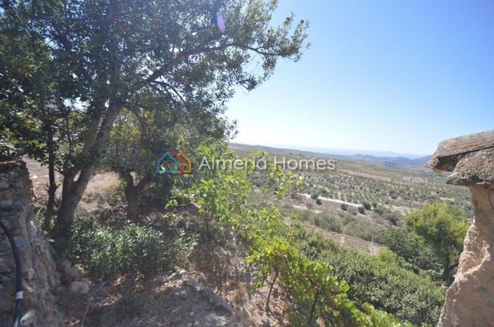 Image No.7-3 Bed Country House for sale