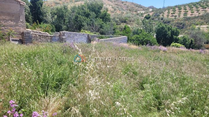 Image No.15-4 Bed Village House for sale