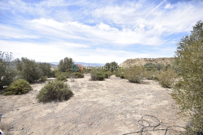 Image No.24-3 Bed Villa for sale