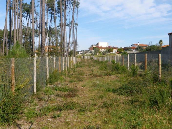 Image No.60-5 Bed Property for sale