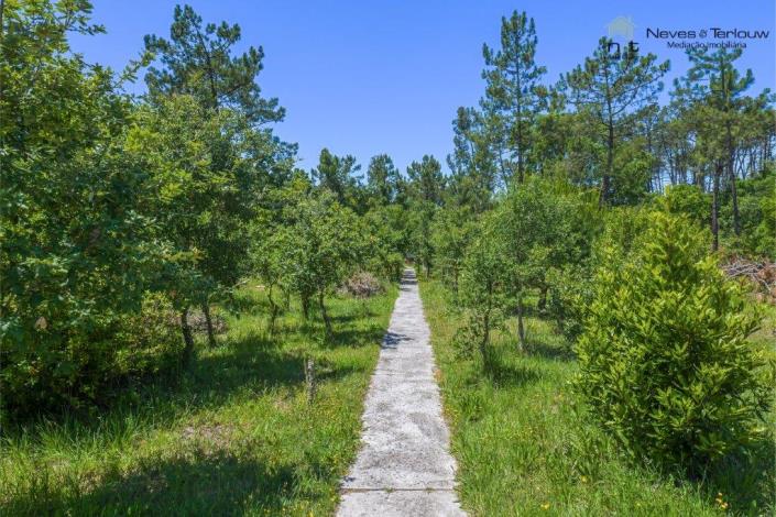 Image No.32-3 Bed House/Villa for sale