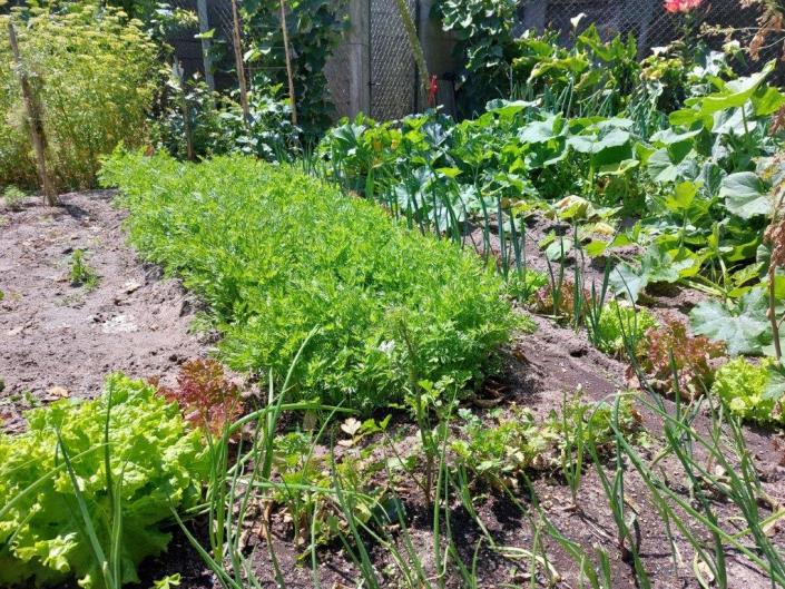 Image No.50-4 Bed House/Villa for sale