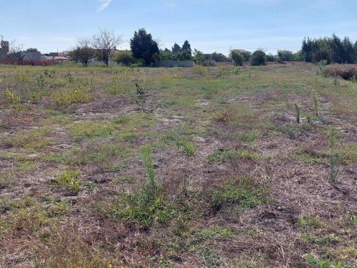 Image No.4-Land for sale