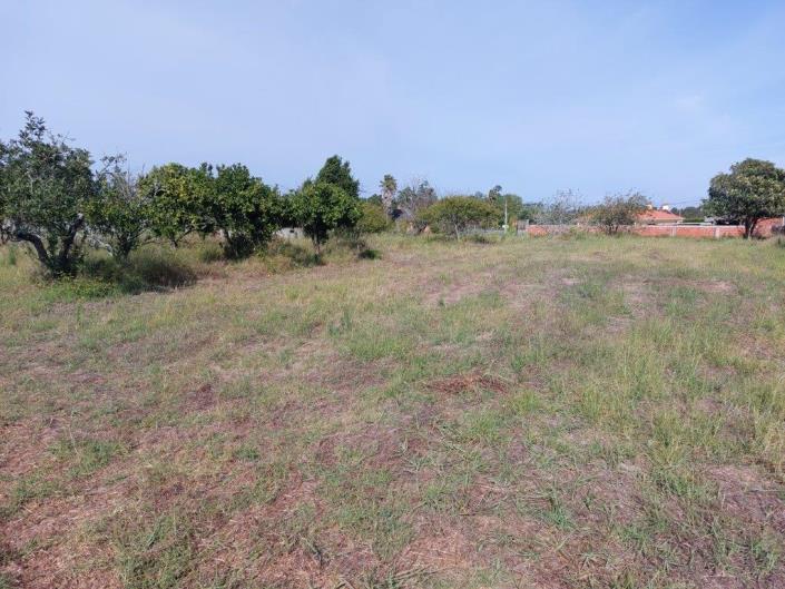 Image No.2-Land for sale