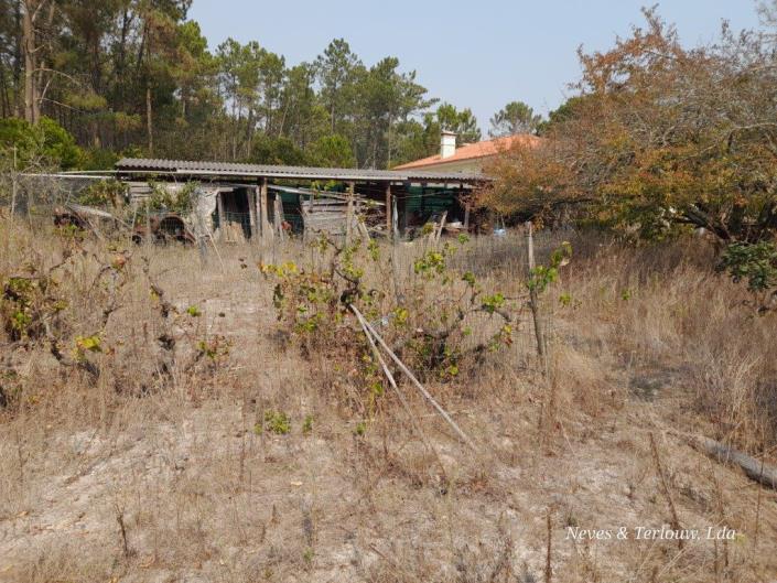 Image No.26-3 Bed Country House for sale