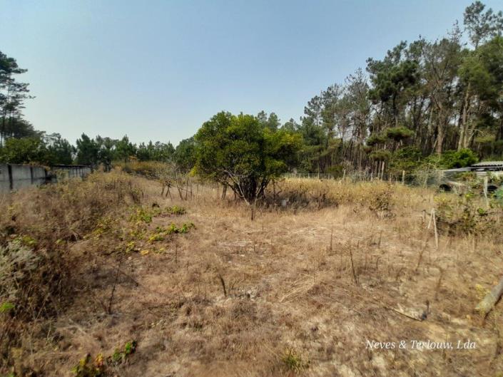 Image No.29-3 Bed Country House for sale