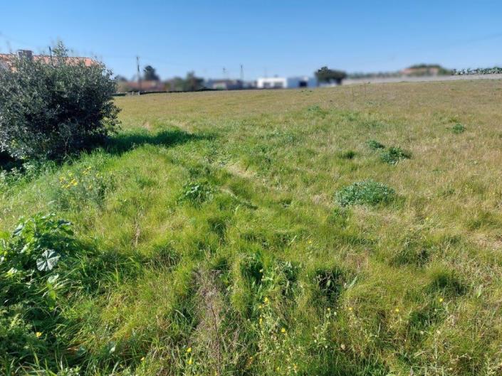 Image No.3-Plot for sale