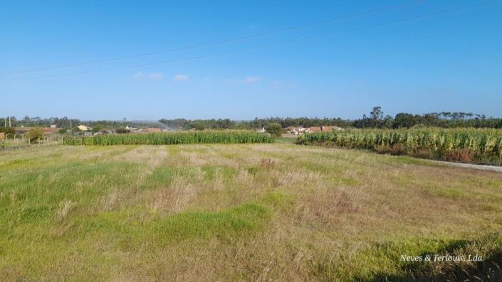 Image No.2-Plot for sale