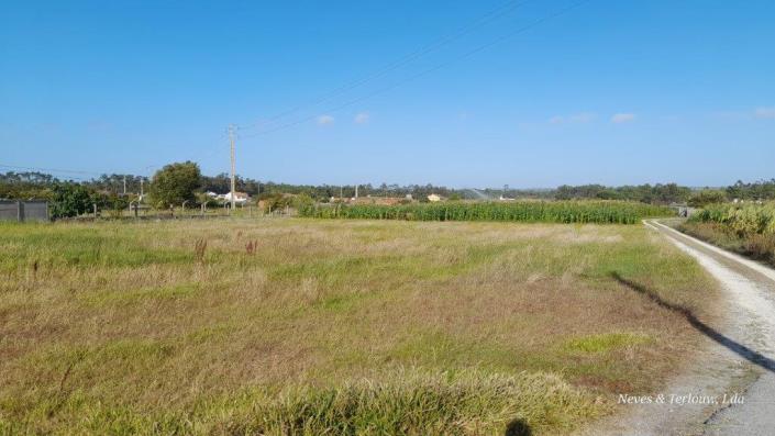 Image No.4-Plot for sale