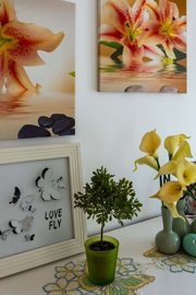 23-4523-78d1f4f8b6655591b02d22fabb36a692d73cc