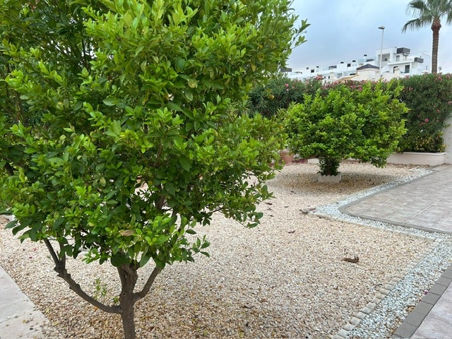 Image No.15-3 Bed Villa for sale