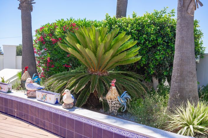 Image No.86-6 Bed Villa for sale