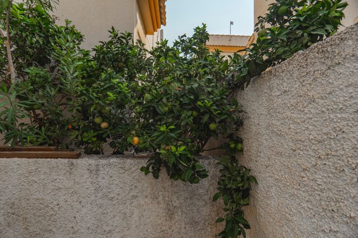 Image No.34-3 Bed Villa for sale