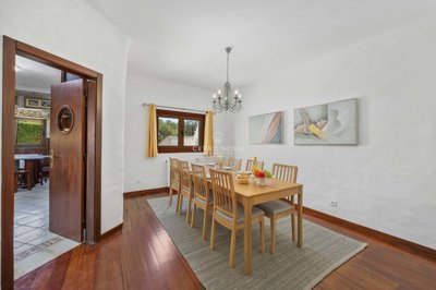 2419-152803-d4a7072701644bd18f6c9ffe77b802fa4