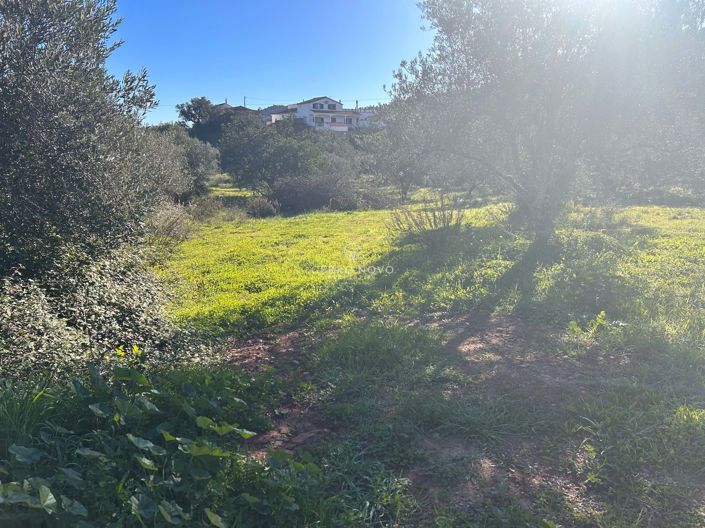 Image No.4-Land for sale