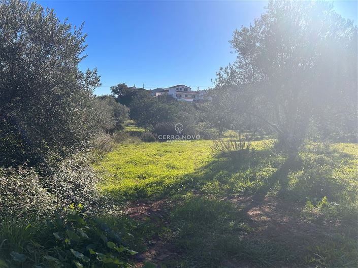 Image No.5-Land for sale