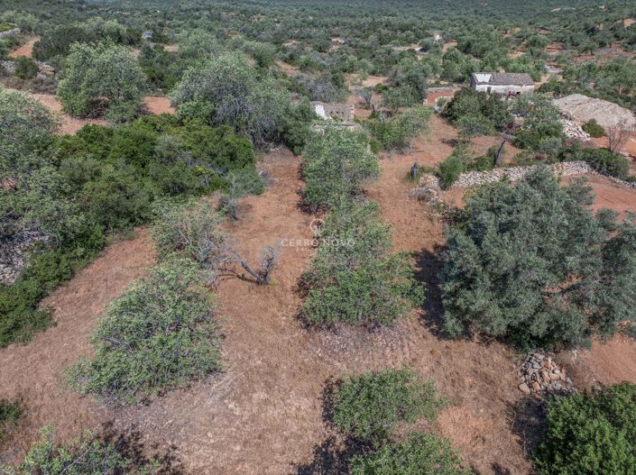 Image No.8-Property for sale