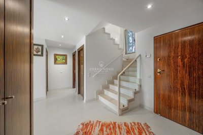 2419-356635-d4a7072701644bd18f6c9ffe77b802fa4