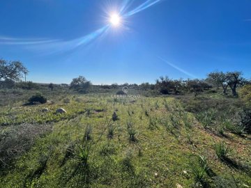 2419-353614-d4a7072701644bd18f6c9ffe77b802fa4