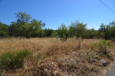 2419-353614-d4a7072701644bd18f6c9ffe77b802fa4