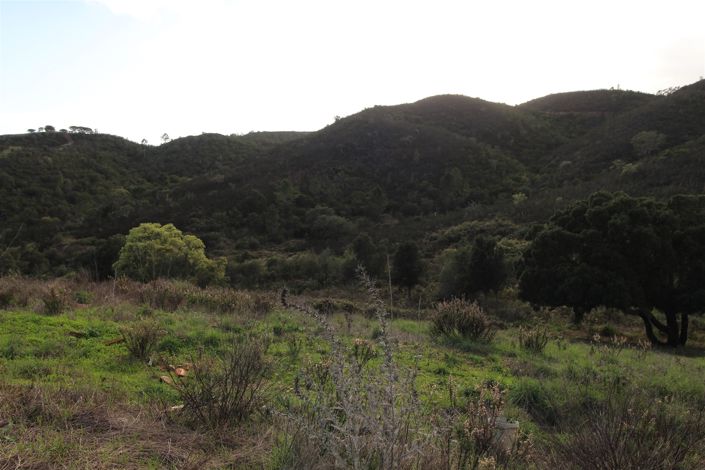 Image No.20-Farmhouse for sale