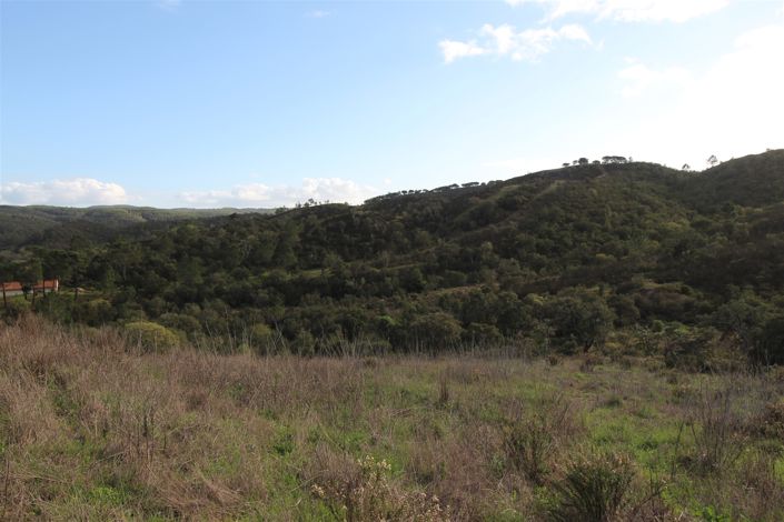 Image No.22-Farmhouse for sale