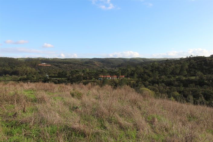 Image No.23-Farmhouse for sale