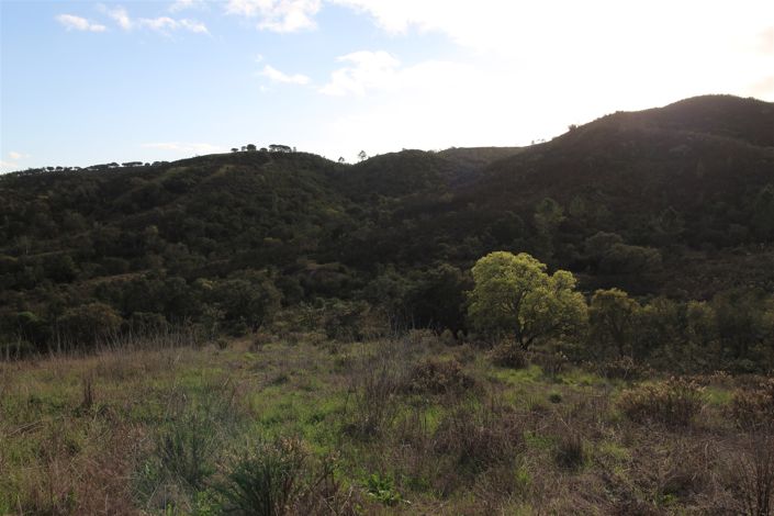 Image No.25-Farmhouse for sale