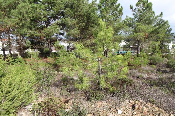 Image No.7-Property for sale