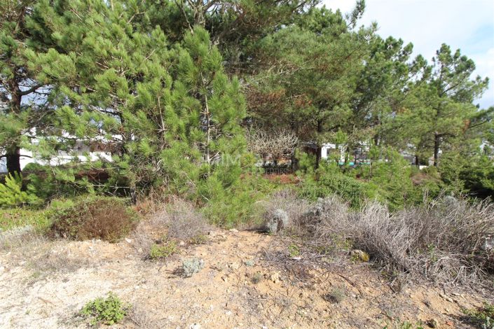 Image No.8-Property for sale