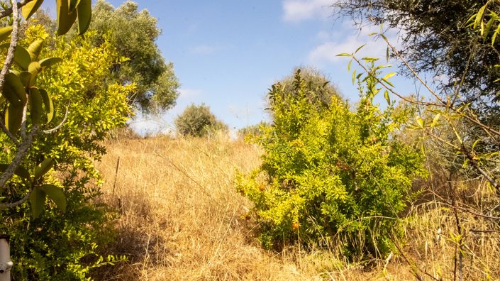 Image No.10-4 Bed Farmhouse for sale
