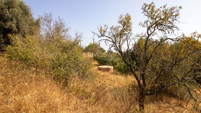 Image No.7-4 Bed Farmhouse for sale