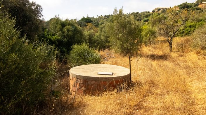 Image No.8-4 Bed Farmhouse for sale