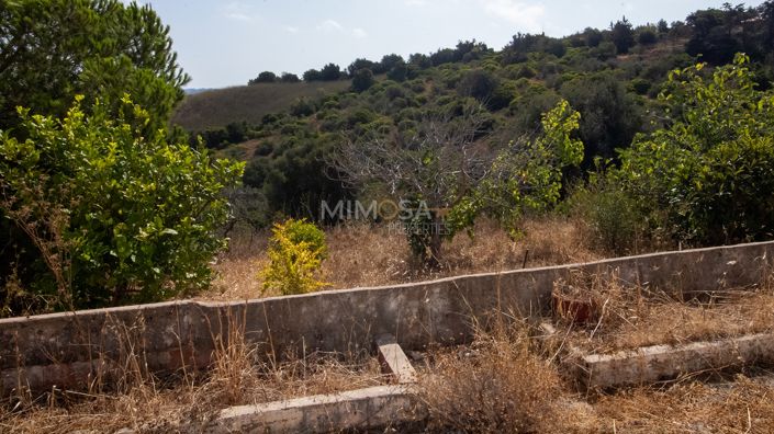 Image No.9-4 Bed Farmhouse for sale